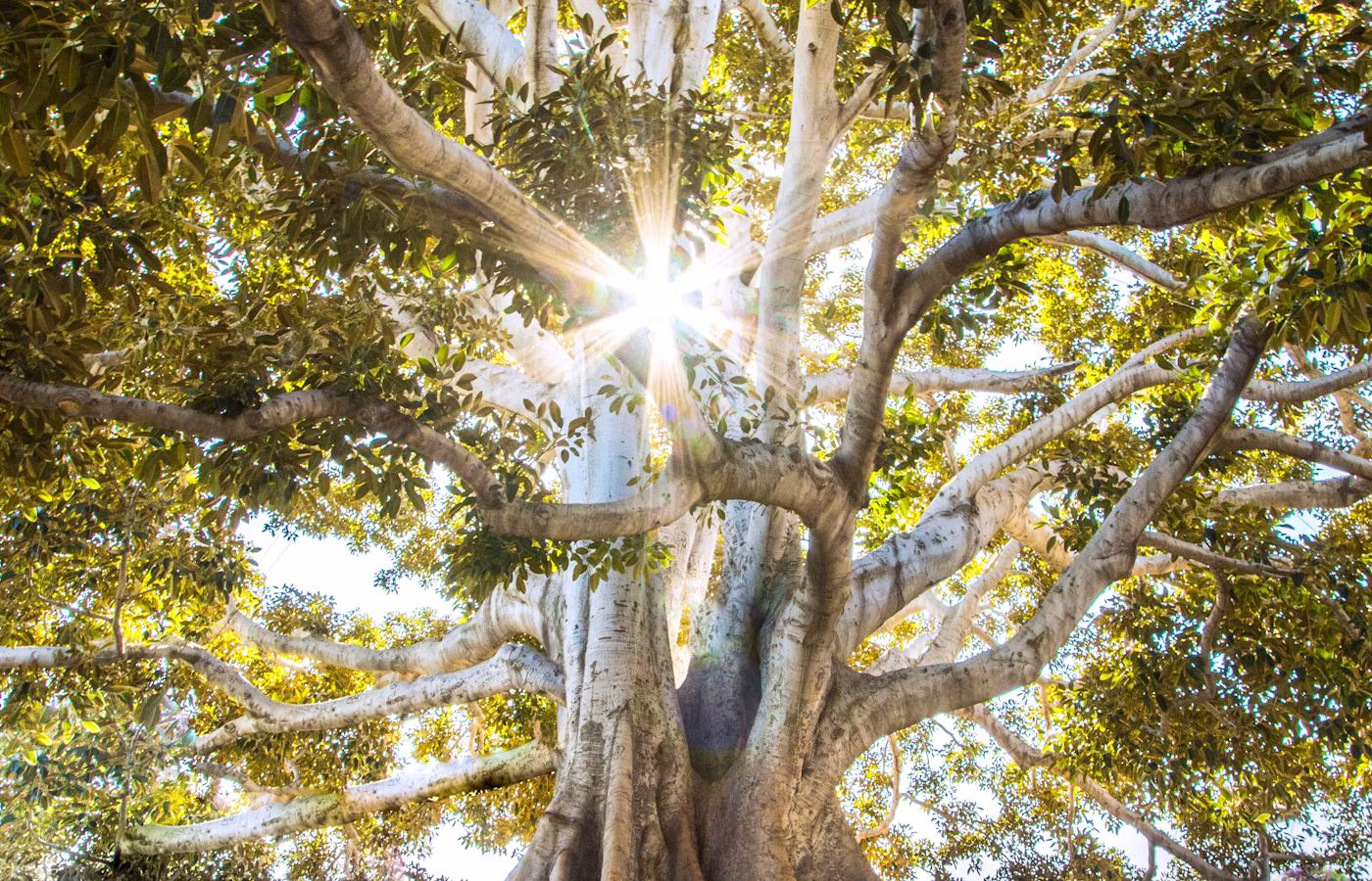 Индекс жизни для руководителя